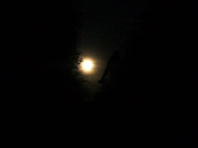The full moon